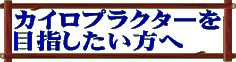 カイロプラクターを目指したい方へ 