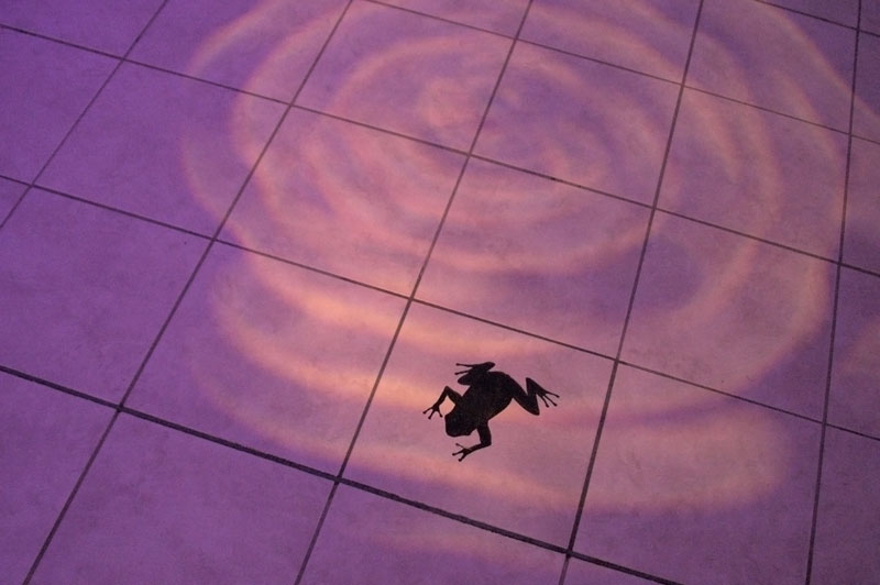 [Zg^[ [ZgAxj[uA tale of stray kittens@ِEsLG}v