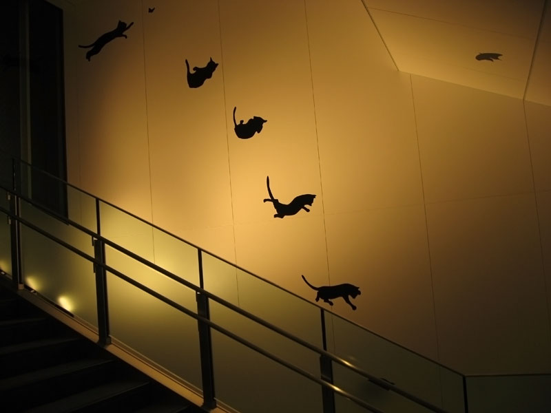[Zg^[ [ZgAxj[uA tale of stray kittens@ِEsLG}v