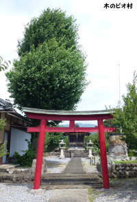 五明稲荷神社