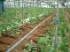 IMAGE001.JPG - 3,938BYTES