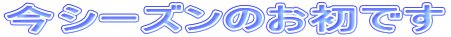 XL[ł